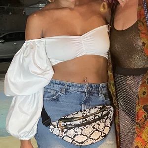 Puff Sleeve Dramatic Zara top